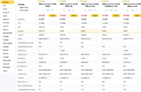 20万买BBA猎装轿跑，这台